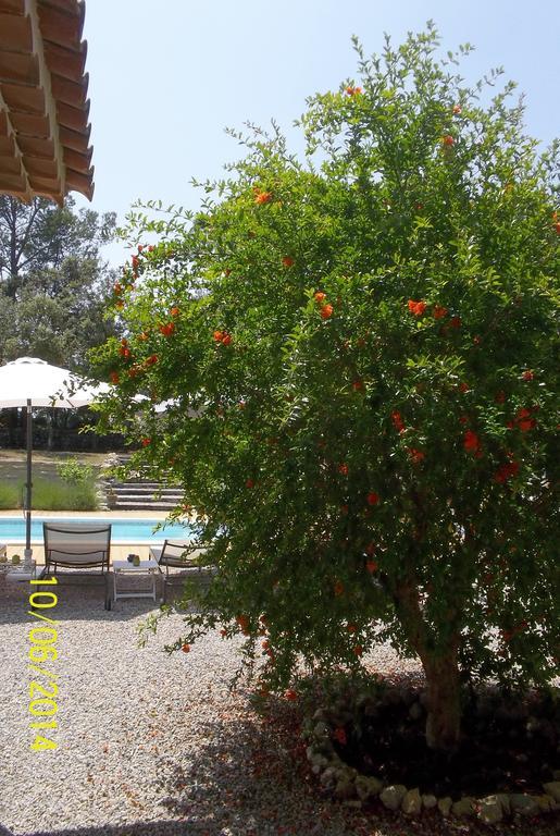 לינה וארוחת בוקר Les Arcs-sur-Argens Maprovencale מראה חיצוני תמונה